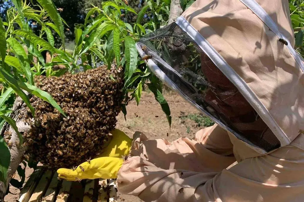 Agriturismo Il Sorbino - Appartamento Da Cocca Pian d'Alma Itália