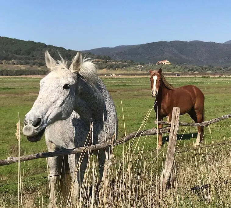 Agriturismo Il Sorbino - Appartamento Da Cocca Pian d'Alma Apartamento