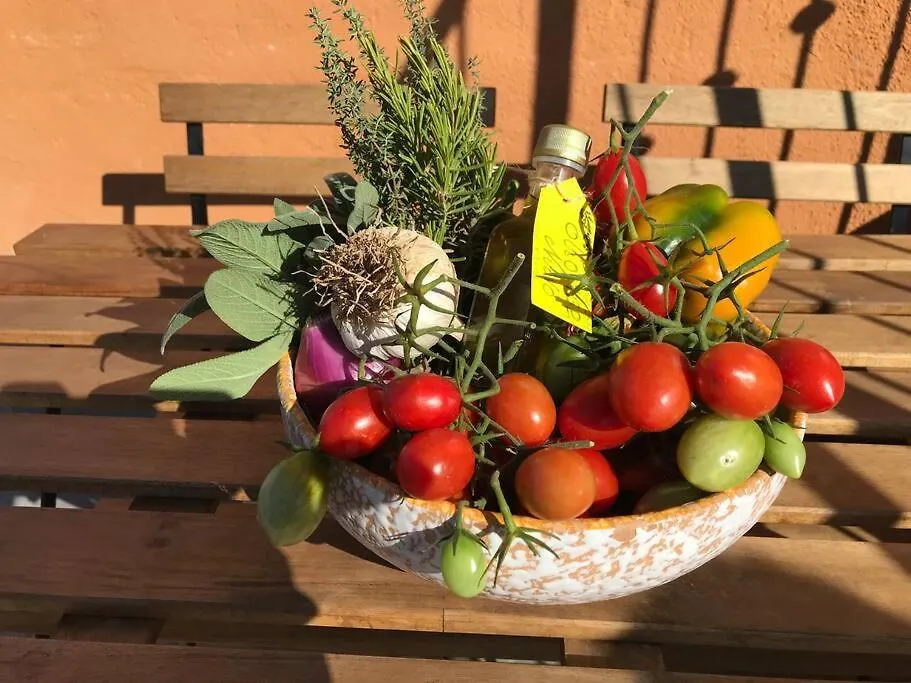Agriturismo Il Sorbino - Appartamento Da Cocca Pian d'Alma 0*,  Italy
