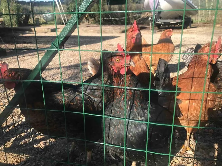 Agriturismo Il Sorbino - Appartamento Da Cocca Pian d'Alma