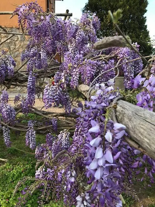 Agriturismo Il Sorbino - Appartamento Da Cocca Pian d'Alma 0*,