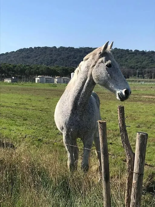 Agriturismo Il Sorbino - Appartamento Da Cocca Pian d'Alma Italy