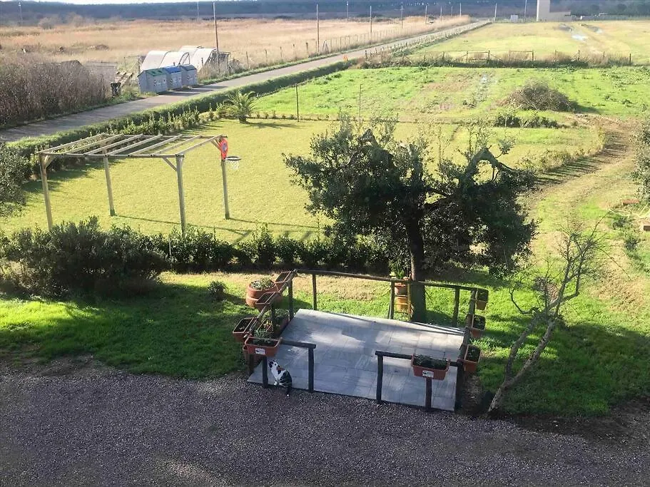 Apartment Agriturismo Il Sorbino - Appartamento Da Cocca Pian d'Alma